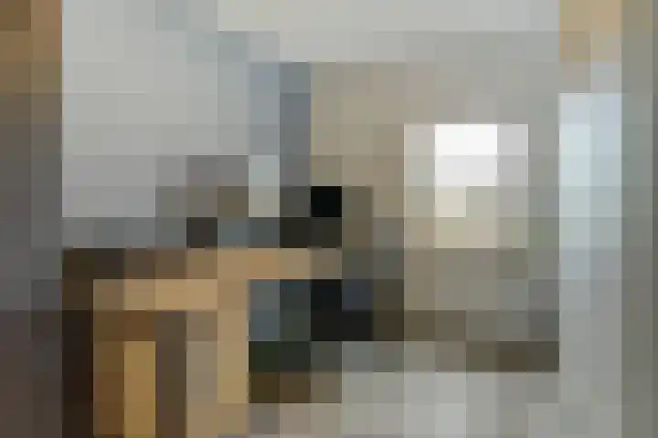 Mgr de Haasstraat 8 Eersel thumbnail 23