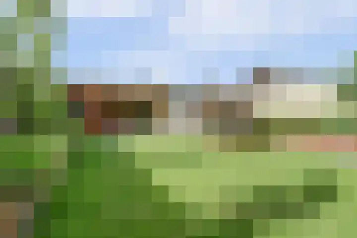 Mgr de Haasstraat 8 Eersel thumbnail 31