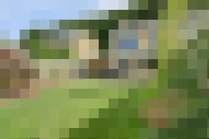 Mgr de Haasstraat 8 Eersel thumbnail 33