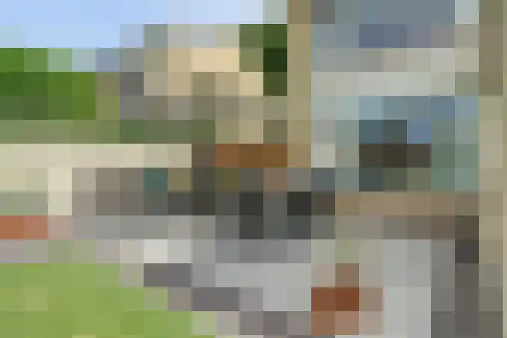 Mgr de Haasstraat 8 Eersel thumbnail 35