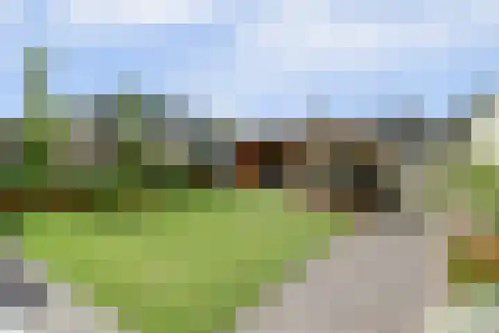 Mgr de Haasstraat 8 Eersel thumbnail 36