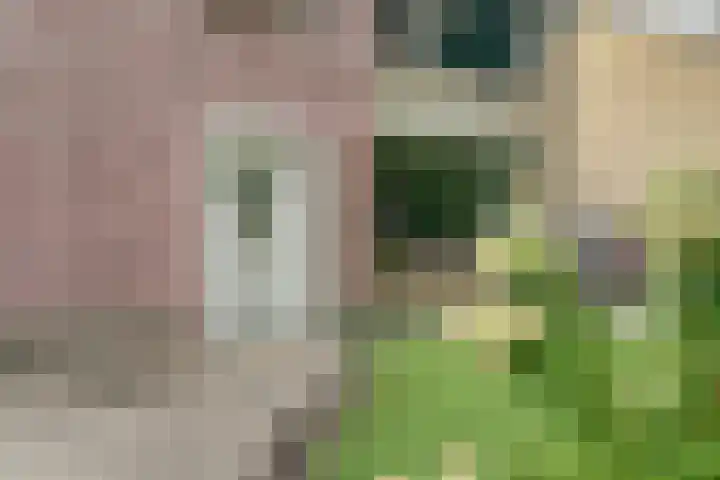 Mgr de Haasstraat 8 Eersel thumbnail 4