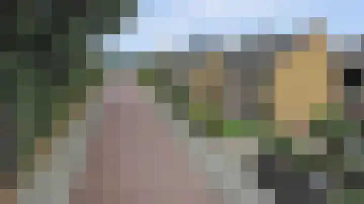 Mgr de Haasstraat 8 Eersel thumbnail 41
