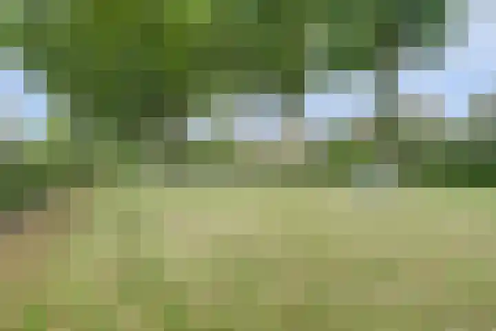 Mgr de Haasstraat 8 Eersel thumbnail 43