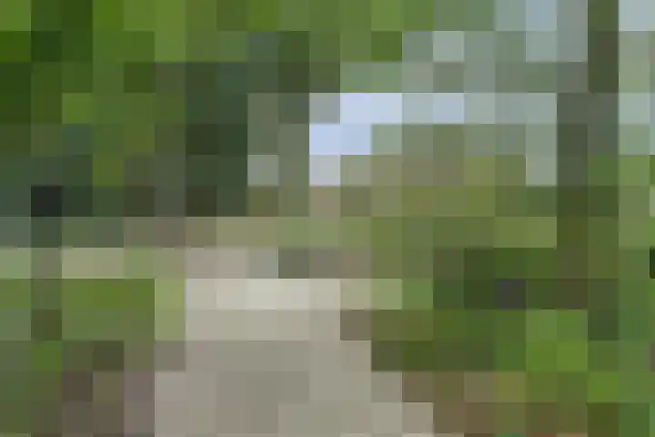 Mgr de Haasstraat 8 Eersel thumbnail 44