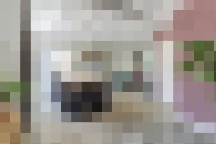 Mgr de Haasstraat 8 Eersel thumbnail 7