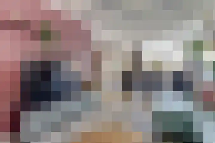 Mgr de Haasstraat 8 Eersel thumbnail 8