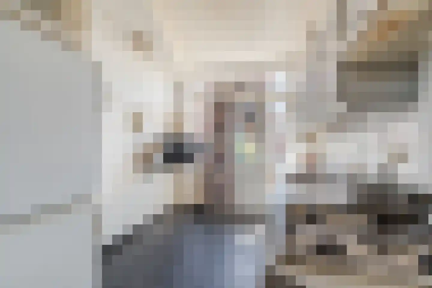 Mgr de Haasstraat 88 Eersel thumbnail 13