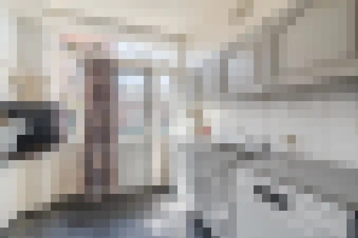 Mgr de Haasstraat 88 Eersel thumbnail 14