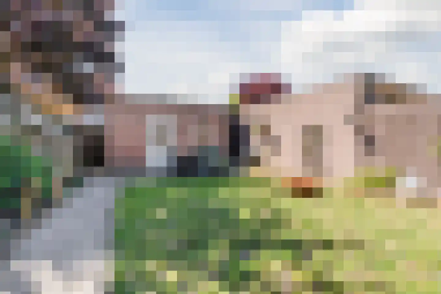 Mgr de Haasstraat 88 Eersel thumbnail 25