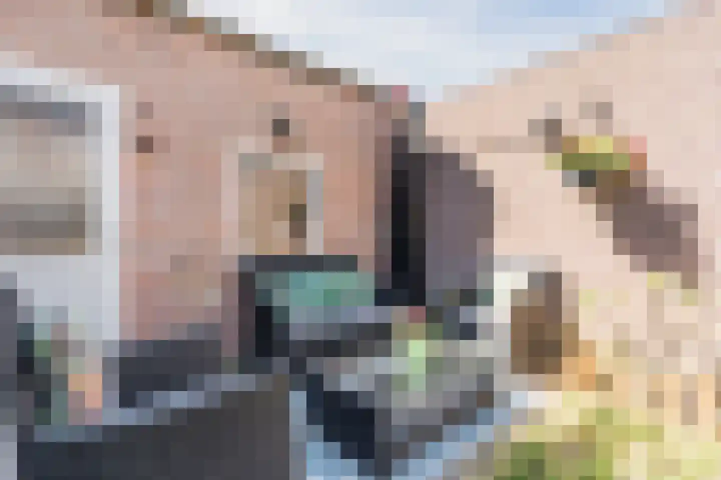 Mgr de Haasstraat 88 Eersel thumbnail 26