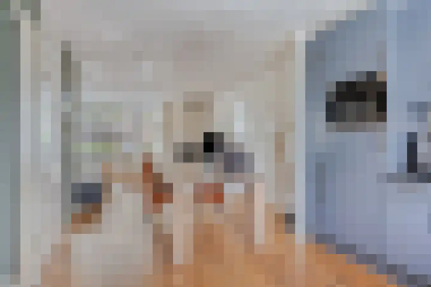 Mgr Dellepoortstraat 3 Stampersgat thumbnail 19