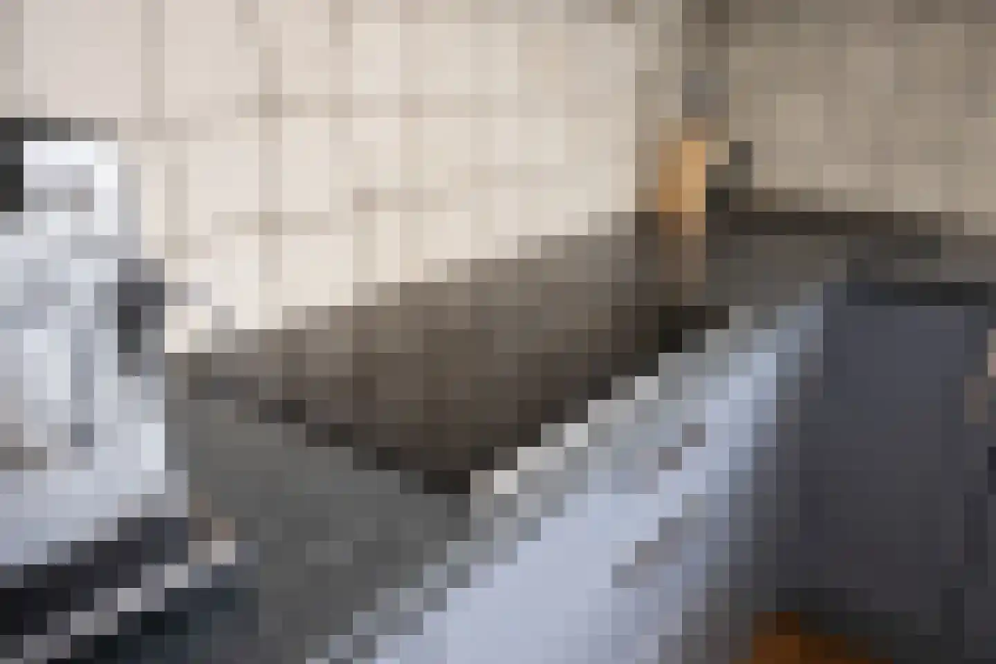Mgr Dellepoortstraat 3 Stampersgat thumbnail 21