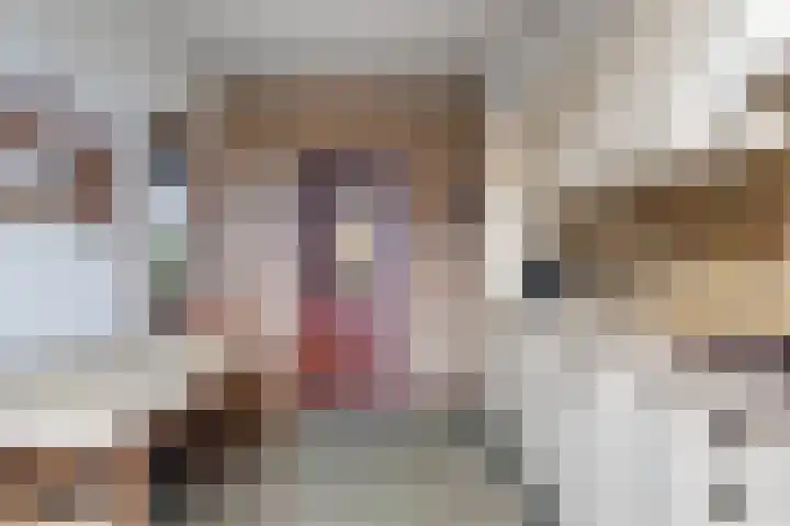 Mgr. Den Dubbeldenstraat 41 Gemert thumbnail 10
