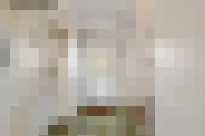 Mgr. Den Dubbeldenstraat 41 Gemert thumbnail 11