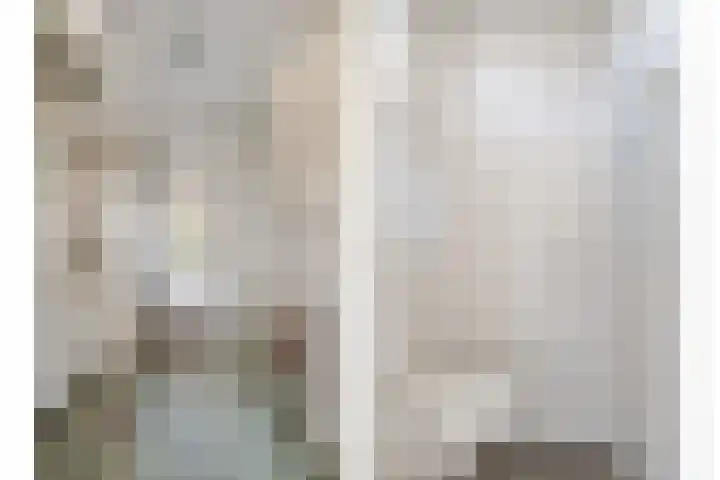 Mgr. Den Dubbeldenstraat 41 Gemert thumbnail 12