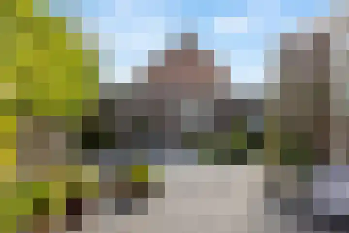 Mgr. Den Dubbeldenstraat 41 Gemert thumbnail 27