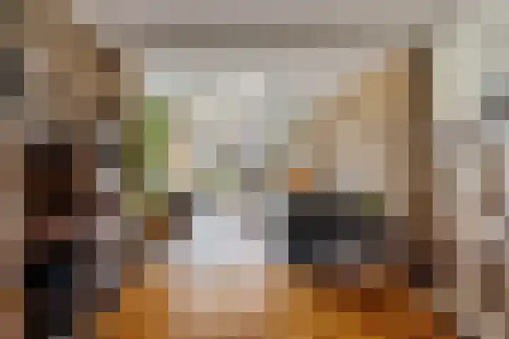 Mgr. Den Dubbeldenstraat 41 Gemert thumbnail 4
