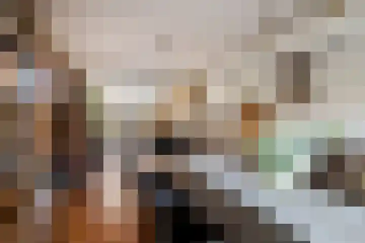 Mgr. Den Dubbeldenstraat 41 Gemert thumbnail 7