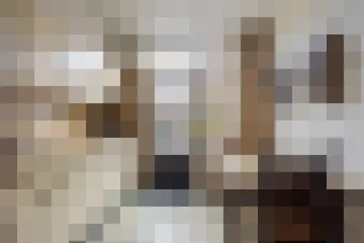 Mgr. Den Dubbeldenstraat 41 Gemert thumbnail 9