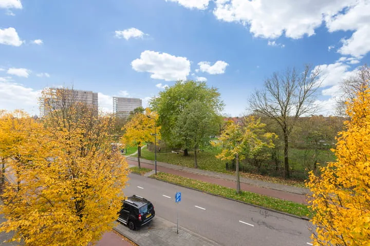 Mgr. Diepenstraat 15 A 's-Hertogenbosch thumbnail 23