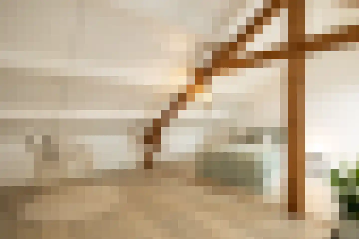 Mgr. Diepenstraat 15 's-Hertogenbosch thumbnail 31