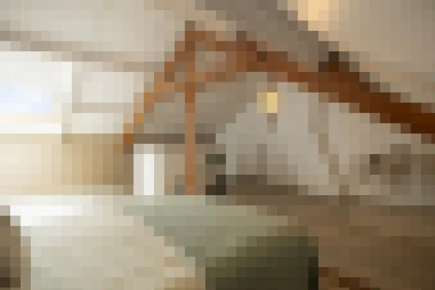 Mgr. Diepenstraat 15 's-Hertogenbosch thumbnail 33