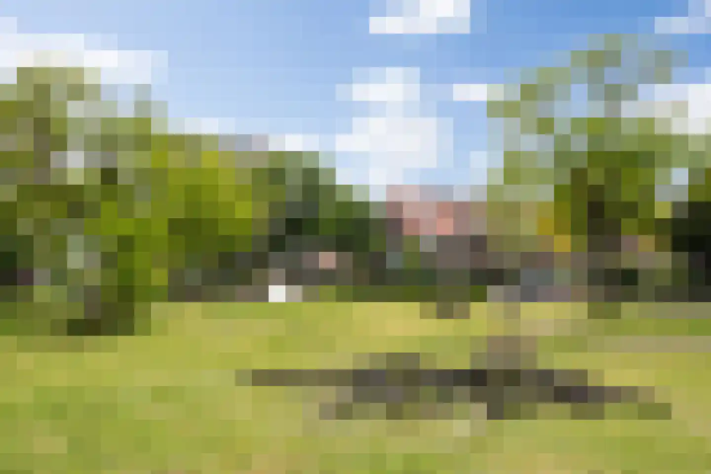 Mgr. Diepenstraat 15 's-Hertogenbosch thumbnail 38