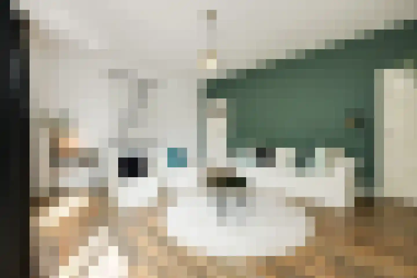 Mgr. Diepenstraat 15 's-Hertogenbosch thumbnail 6