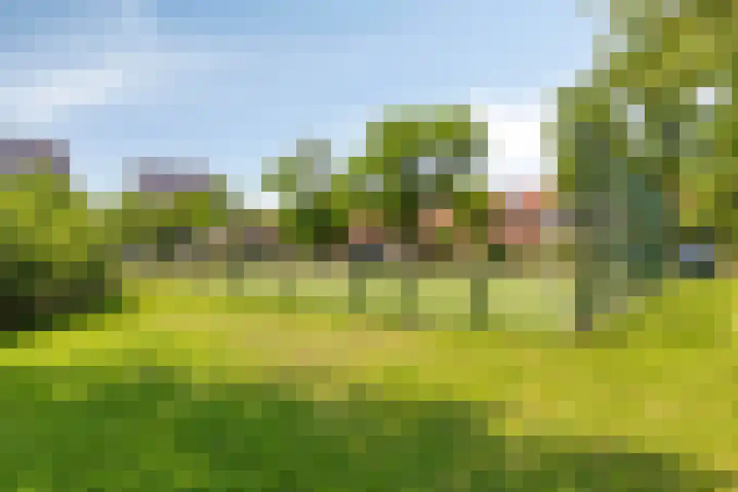 Mgr. Diepenstraat 17 A 's-Hertogenbosch thumbnail 33