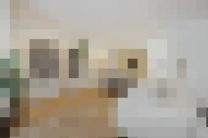 Mgr. Diepenstraat 33 's-Hertogenbosch thumbnail 4