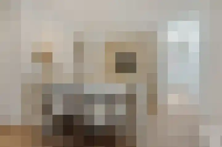 Mgr. Diepenstraat 33 's-Hertogenbosch thumbnail 8