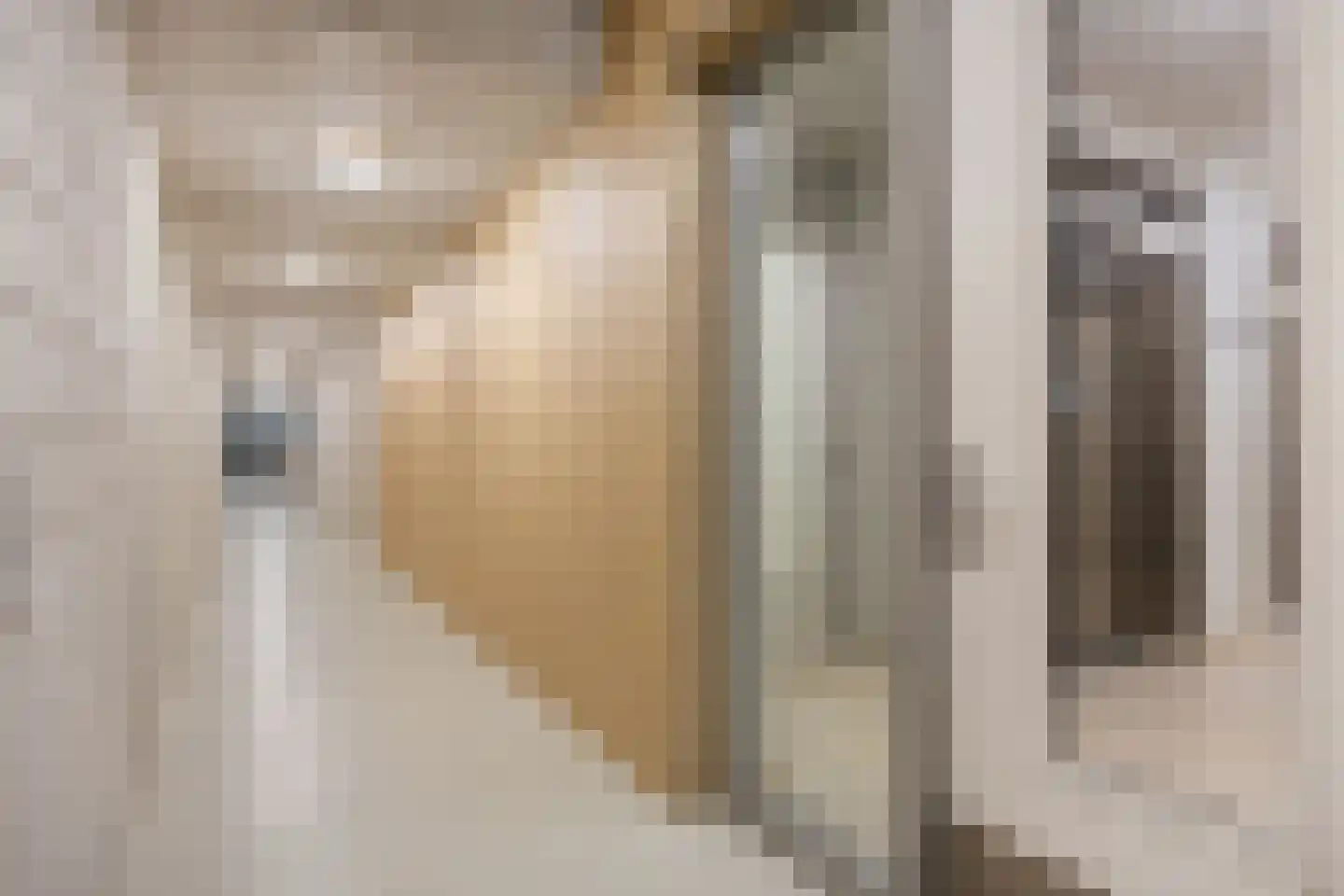 Mgr. Diepenstraat 8 's-Hertogenbosch thumbnail 32