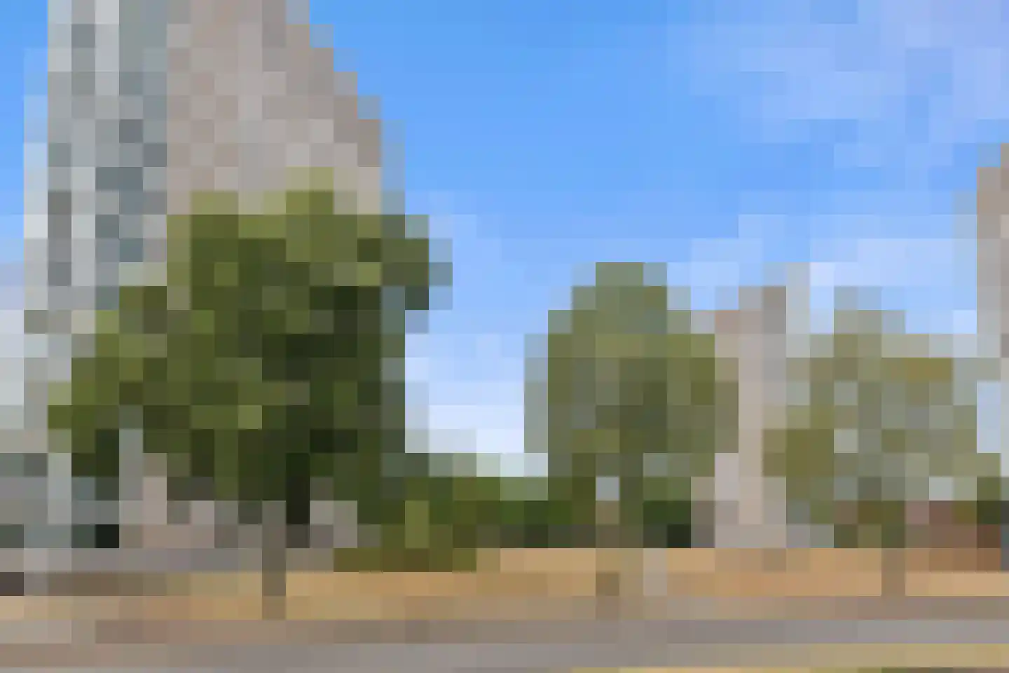 Mgr. Diepenstraat 8 's-Hertogenbosch thumbnail 42