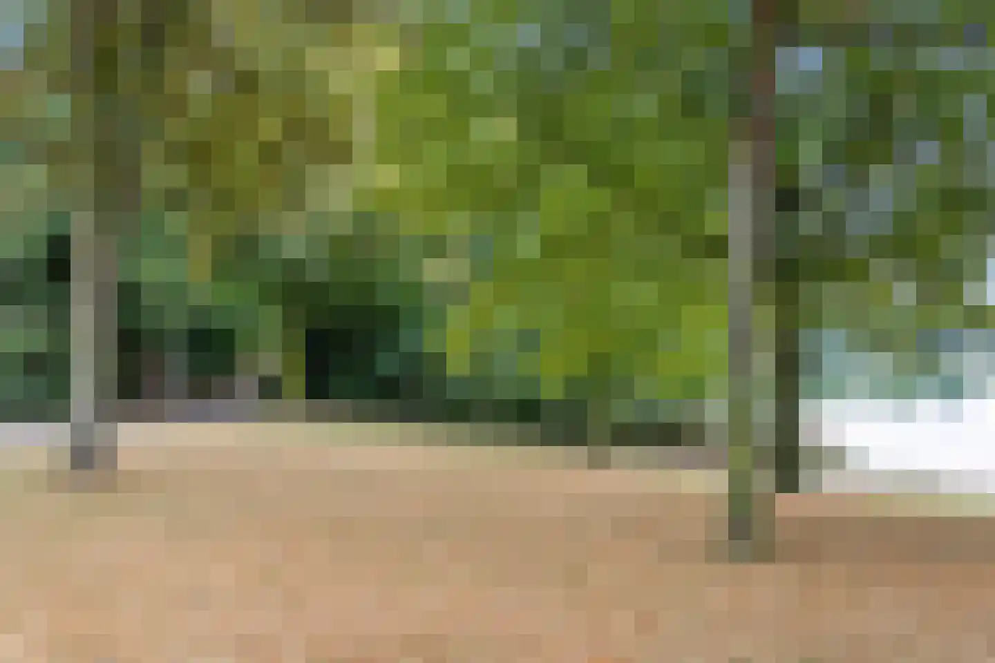 Mgr. Diepenstraat 8 's-Hertogenbosch thumbnail 43