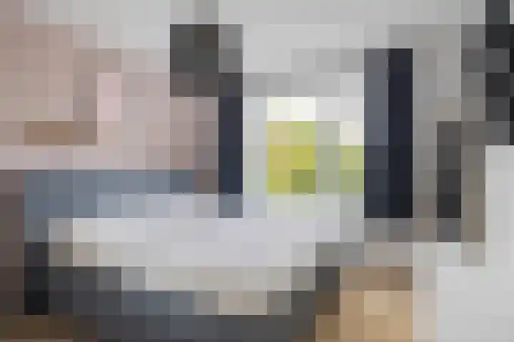 Mgr Dr Meuwesestraat 18 Erp thumbnail 19