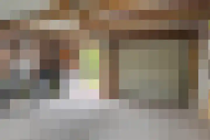 Mgr Dr Meuwesestraat 18 Erp thumbnail 34