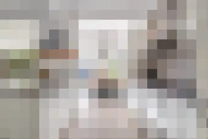 Mgr Dr Meuwesestraat 18 Erp thumbnail 7