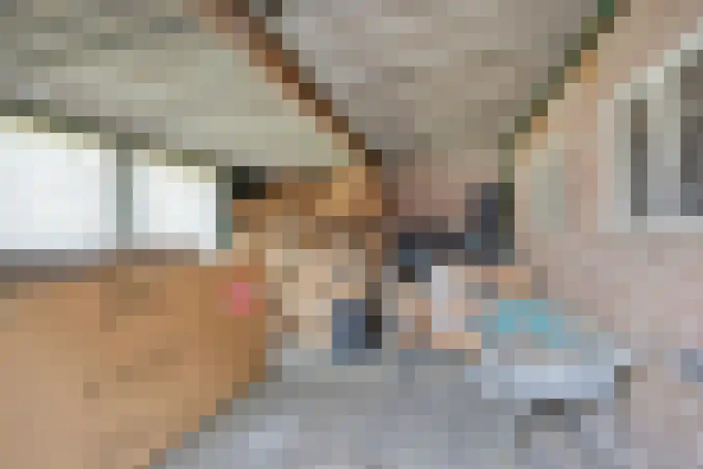 Mgr Dr Meuwesestraat 20 Erp thumbnail 34