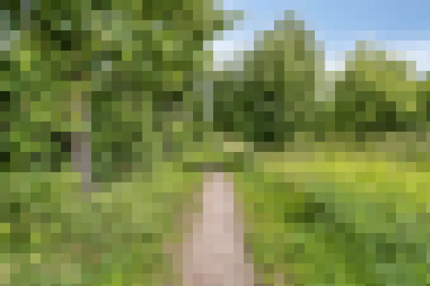 Mgr. Feronstraat 3 Geleen thumbnail 31