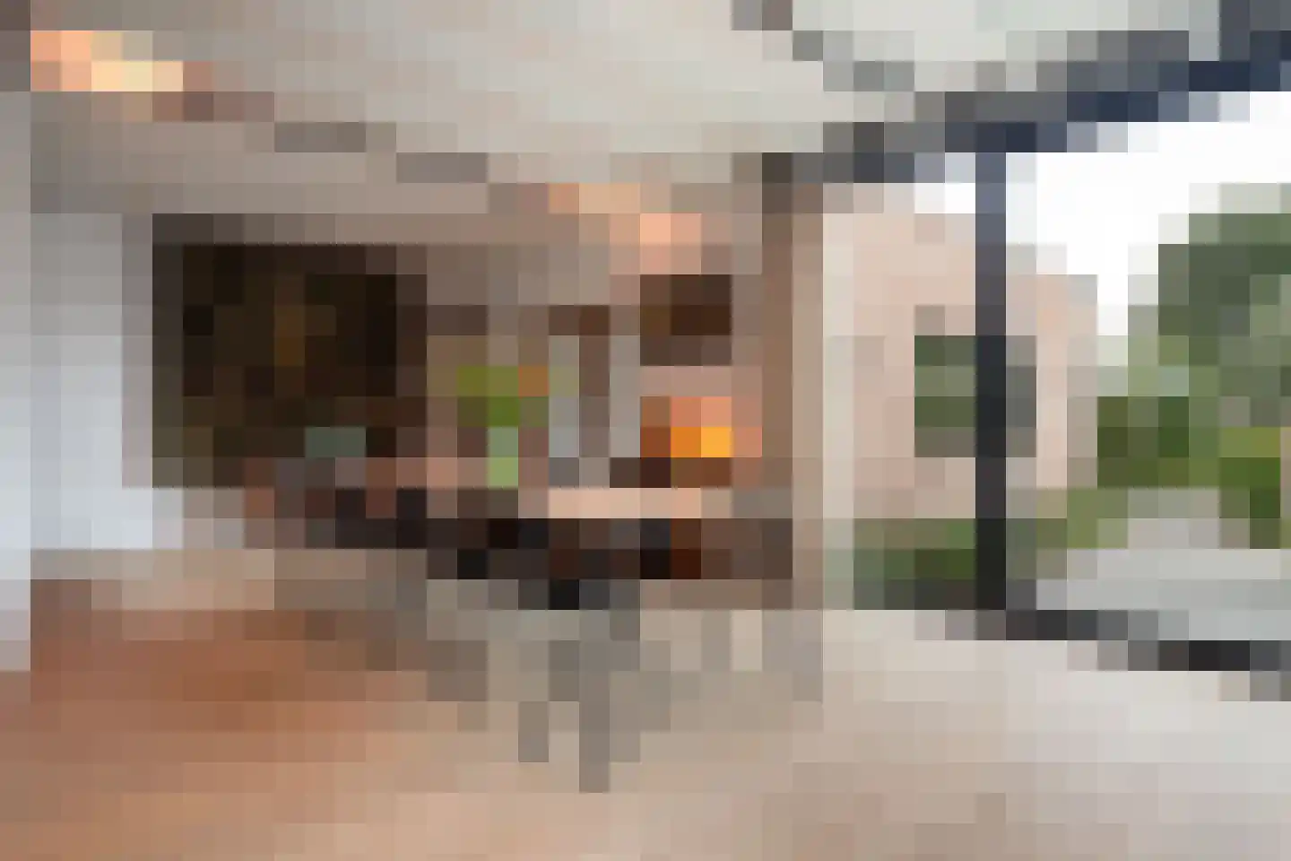 Mgr Frenkenstraat 53 Nuenen thumbnail 21