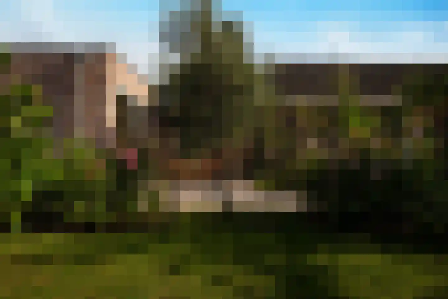 Mgr Frenkenstraat 53 Nuenen thumbnail 45
