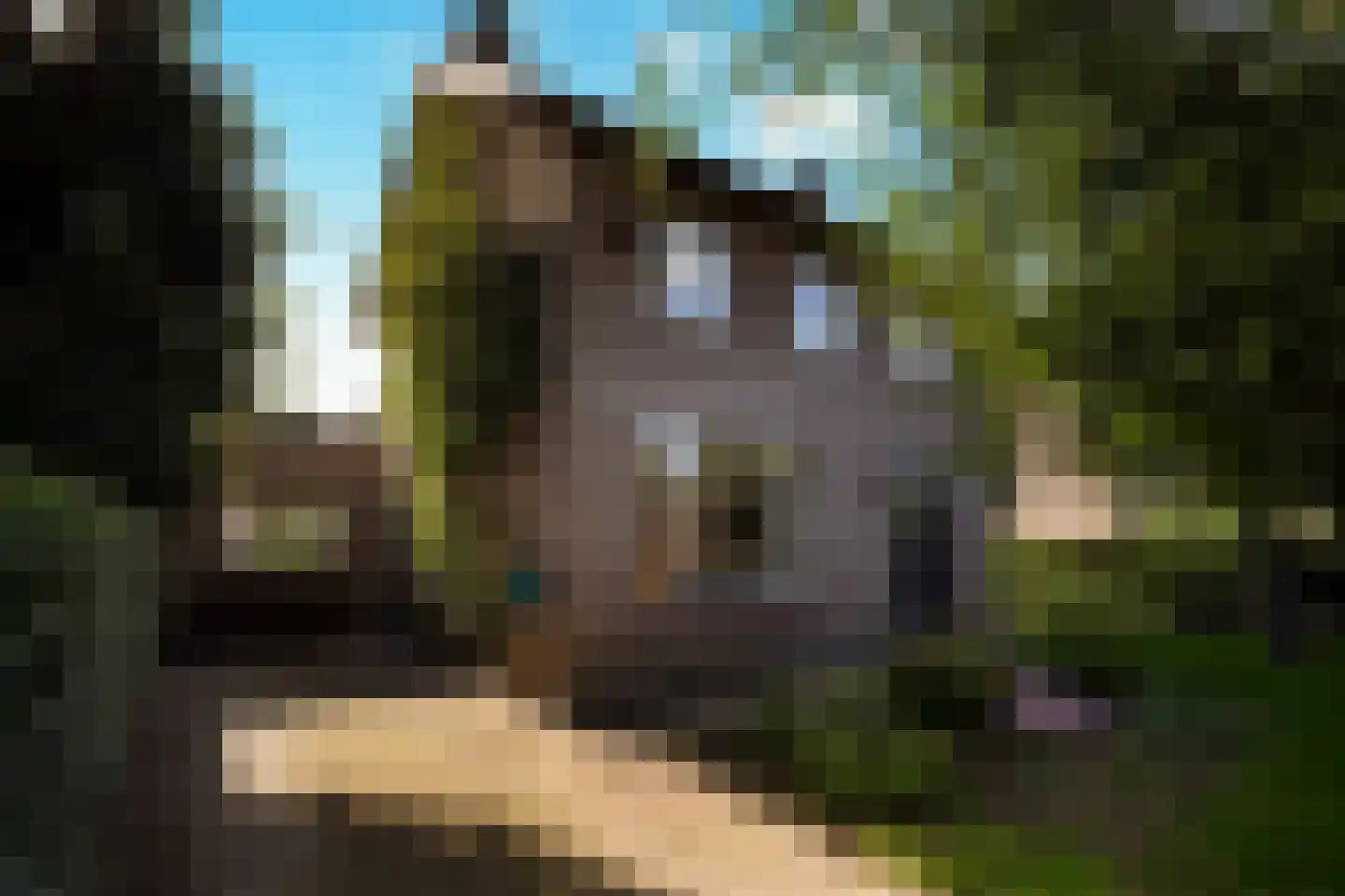 Mgr Frenkenstraat 53 Nuenen thumbnail 5