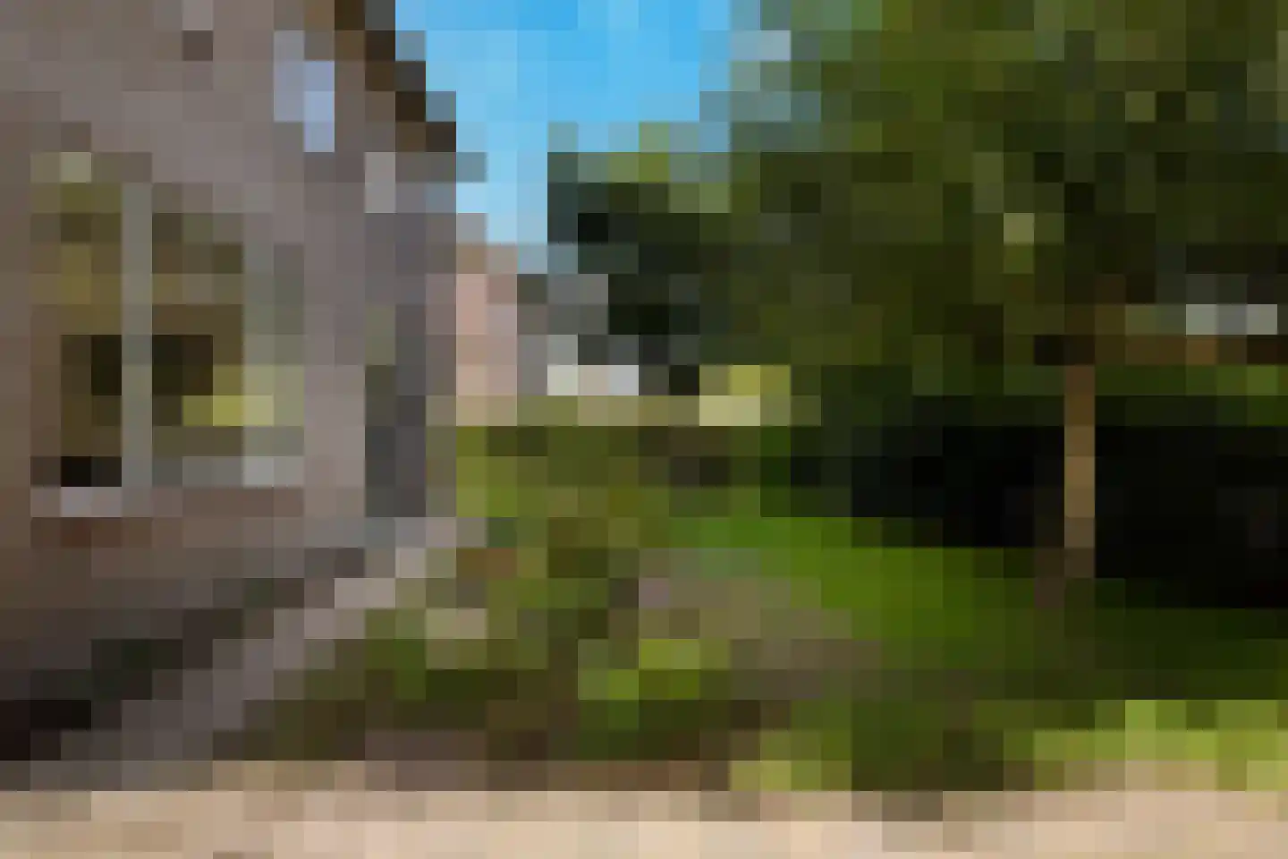 Mgr Frenkenstraat 53 Nuenen thumbnail 6