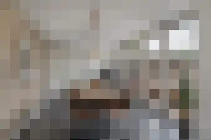 Mgr.Godschalkstraat 3 Den Dungen thumbnail 10