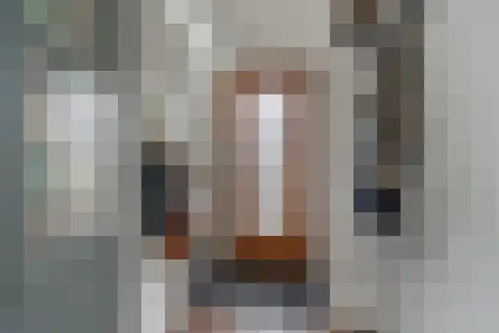 Mgr.Godschalkstraat 3 Den Dungen thumbnail 12