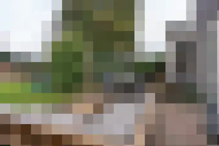 Mgr.Godschalkstraat 3 Den Dungen thumbnail 25