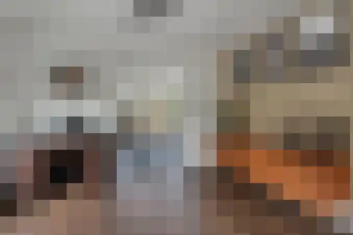 Mgr.Godschalkstraat 3 Den Dungen thumbnail 7