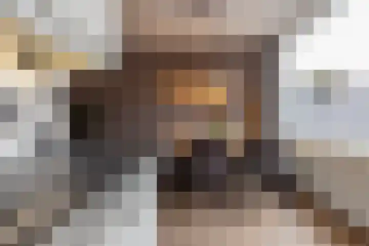 Mgr. Goossenssingel 24 Vught thumbnail 10