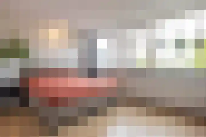 Mgr. Goossenssingel 24 Vught thumbnail 14